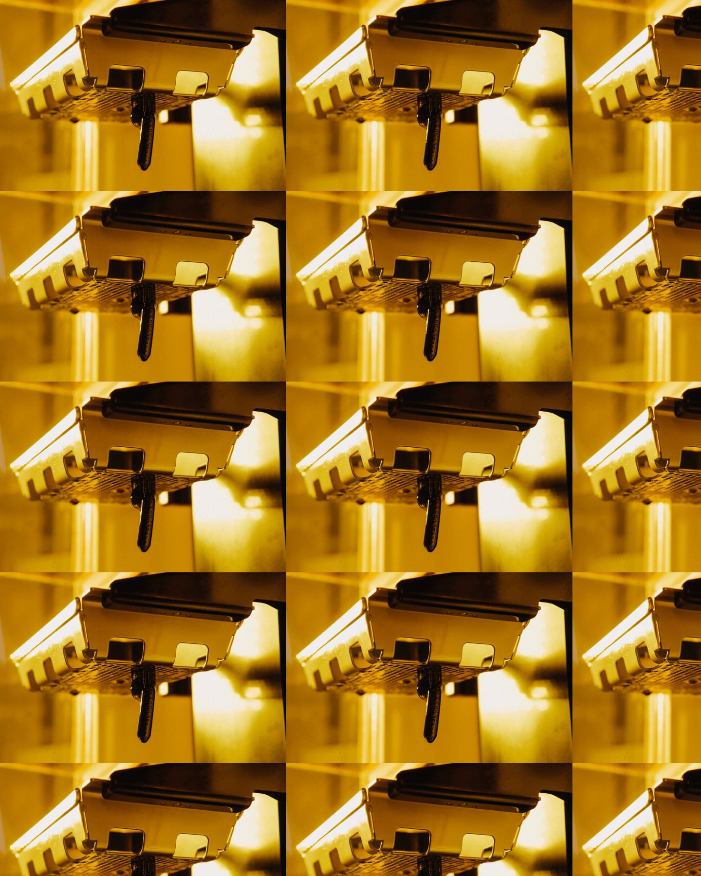 Sustainability stories - Kenny Wong image 1